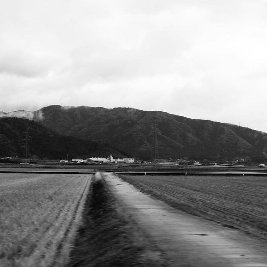 Spring's Woven Echoes: Threads of My Hometown
