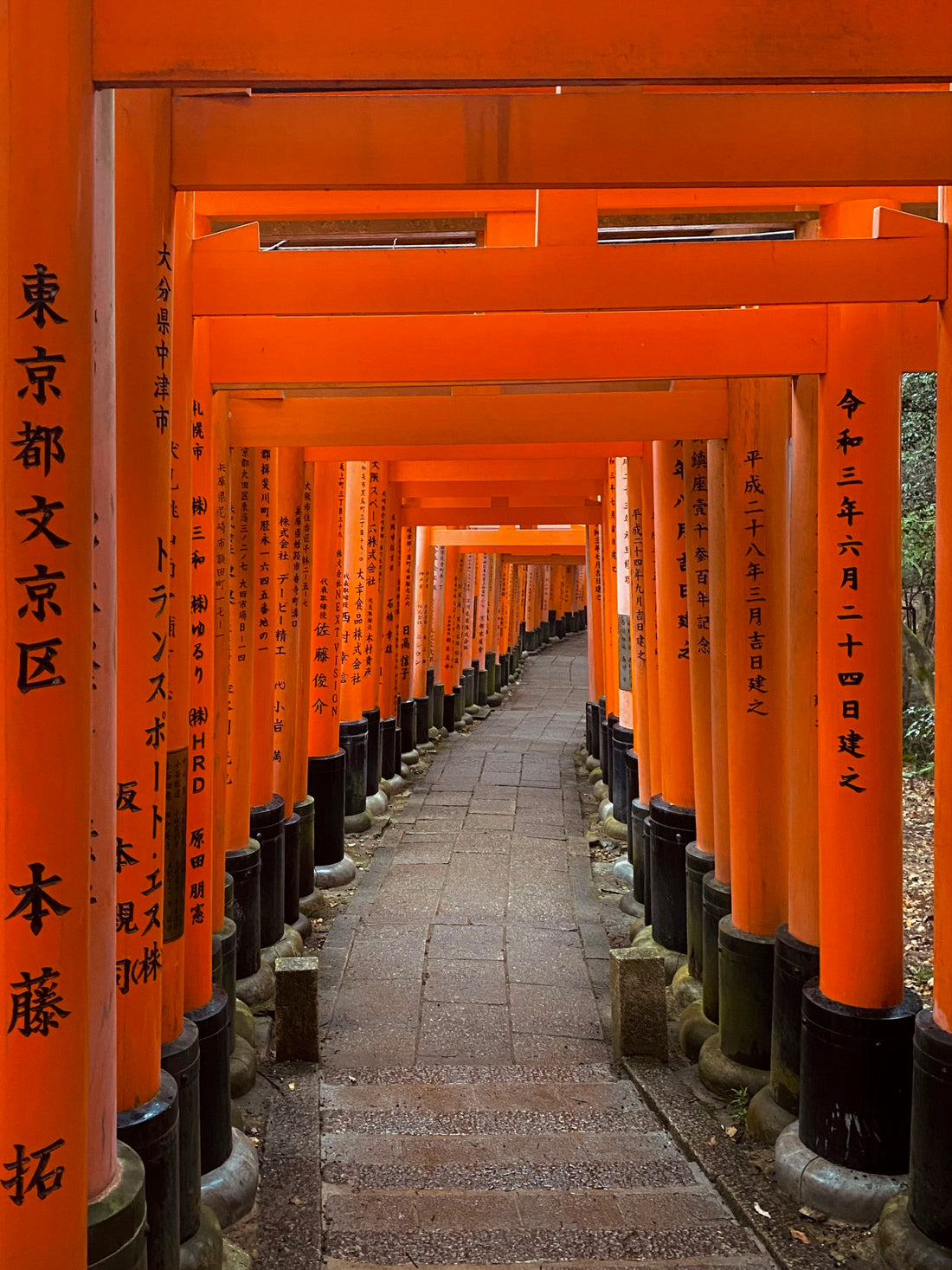 MESSENGER TO THE MOUNTAIN GOD