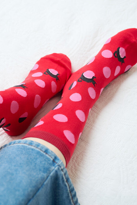 Dot Neko Socks Red