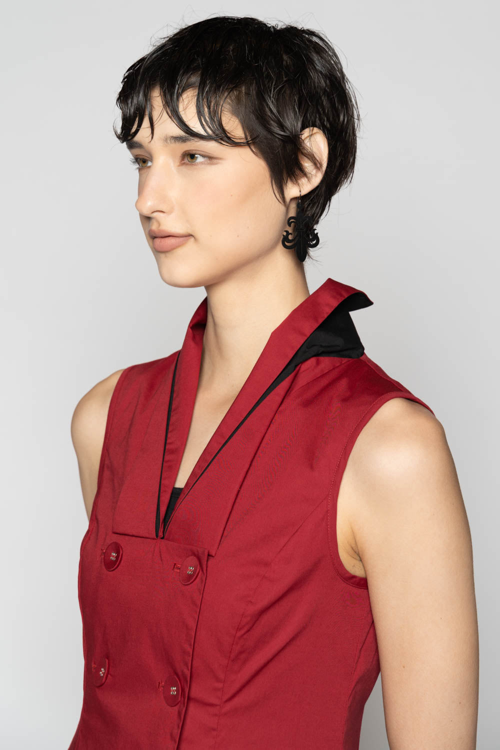 Overtone Dress Scarlet